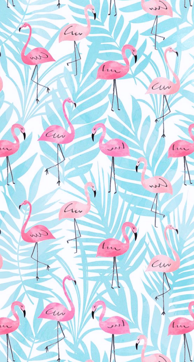 papéis de parede para celular de flamingo, papel de parede para celular, papel de parede, flamingo, papel de parede flamingo, flamingo wallpaper, pattern flamingo, papel de parede celular, papel de parede celular flamingo, papel de parede iphone flamingo, papel de parede android flamingo