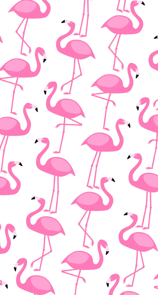papéis de parede para celular de flamingo, papel de parede para celular, papel de parede, flamingo, papel de parede flamingo, flamingo wallpaper, pattern flamingo, papel de parede celular, papel de parede celular flamingo, papel de parede iphone flamingo, papel de parede android flamingo