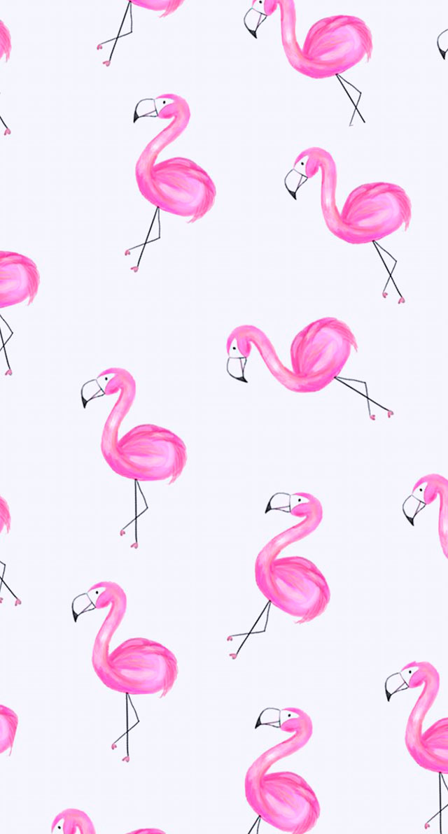 papéis de parede para celular de flamingo, papel de parede para celular, papel de parede, flamingo, papel de parede flamingo, flamingo wallpaper, pattern flamingo, papel de parede celular, papel de parede celular flamingo, papel de parede iphone flamingo, papel de parede android flamingo
