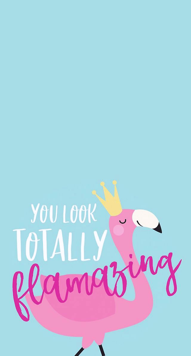 papéis de parede para celular de flamingo, papel de parede para celular, papel de parede, flamingo, papel de parede flamingo, flamingo wallpaper, pattern flamingo, papel de parede celular, papel de parede celular flamingo, papel de parede iphone flamingo, papel de parede android flamingo
