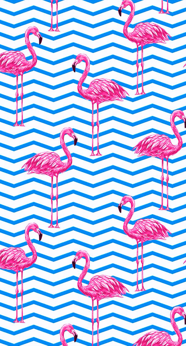 papéis de parede para celular de flamingo, papel de parede para celular, papel de parede, flamingo, papel de parede flamingo, flamingo wallpaper, pattern flamingo, papel de parede celular, papel de parede celular flamingo, papel de parede iphone flamingo, papel de parede android flamingo