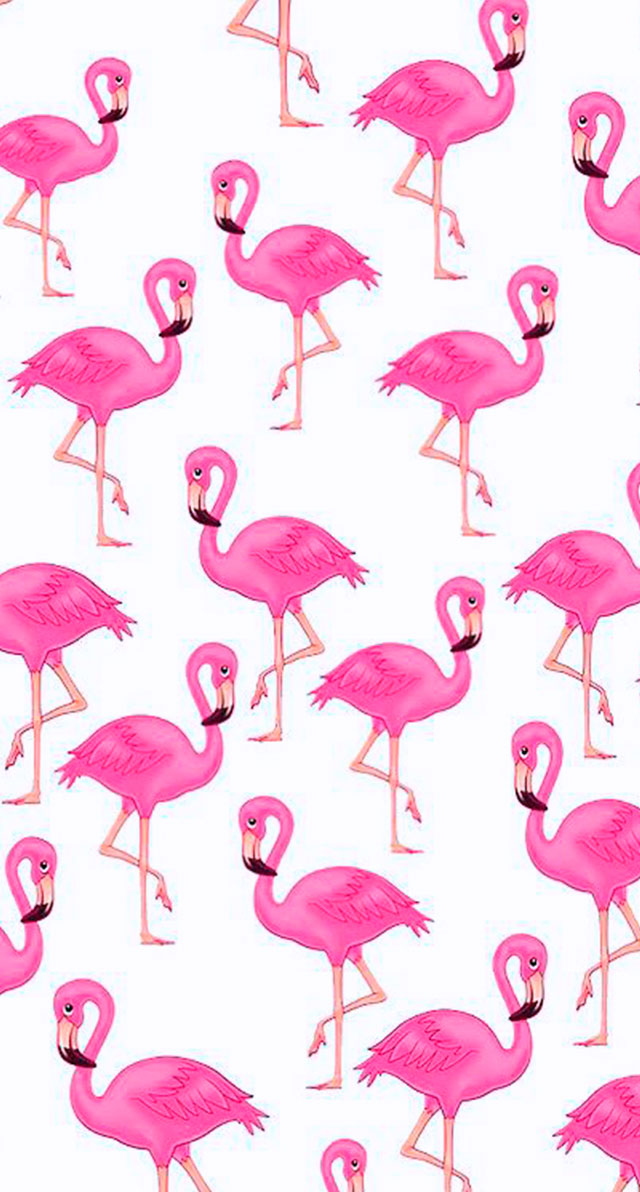 papéis de parede para celular de flamingo, papel de parede para celular, papel de parede, flamingo, papel de parede flamingo, flamingo wallpaper, pattern flamingo, papel de parede celular, papel de parede celular flamingo, papel de parede iphone flamingo, papel de parede android flamingo