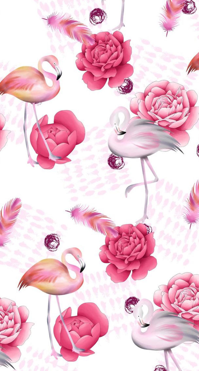 papéis de parede para celular de flamingo, papel de parede para celular, papel de parede, flamingo, papel de parede flamingo, flamingo wallpaper, pattern flamingo, papel de parede celular, papel de parede celular flamingo, papel de parede iphone flamingo, papel de parede android flamingo