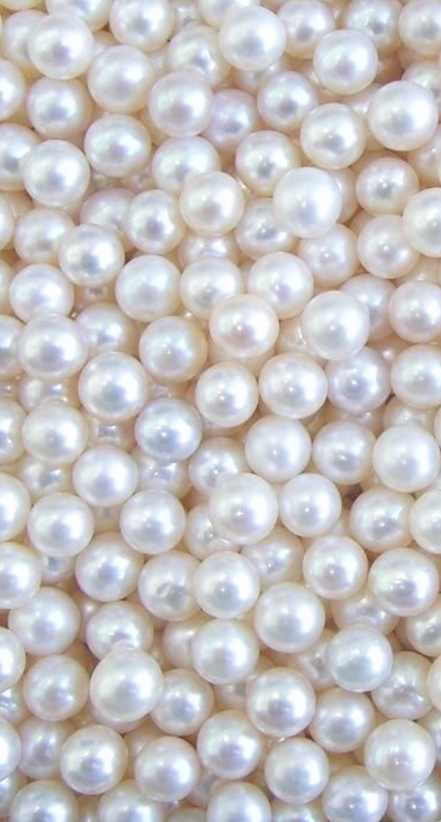 baixar papel de parede para celular baixar papel de parede para celular, papel de parede conchas papel de parede conchas, papel de parede de sereia papel de parede de sereia, papel de parede para celular sereia papel de parede para celular sereia, papel de parede para iphone papel de parede para iphone, papel de parede para samsung papel de parede para samsung, papel de parede pérolas papel de parede pérolas, papel de parede sereismo papel de parede sereismo, sereia, sereismo, mermaid, siren, mermaid wallpaper, sereia wallpaper, papel de parede sereia, papel de parede sereismo, ariel, papel de parede ariel, pequena sereia, a pequena sereia, conchas, pérolas, glitter 