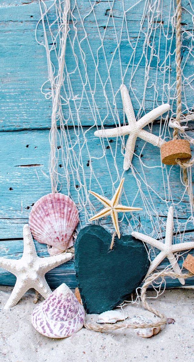 baixar papel de parede para celular baixar papel de parede para celular, papel de parede conchas papel de parede conchas, papel de parede de sereia papel de parede de sereia, papel de parede para celular sereia papel de parede para celular sereia, papel de parede para iphone papel de parede para iphone, papel de parede para samsung papel de parede para samsung, papel de parede pérolas papel de parede pérolas, papel de parede sereismo papel de parede sereismo, sereia, sereismo, mermaid, siren, mermaid wallpaper, sereia wallpaper, papel de parede sereia, papel de parede sereismo, ariel, papel de parede ariel, pequena sereia, a pequena sereia, conchas, pérolas, glitter 