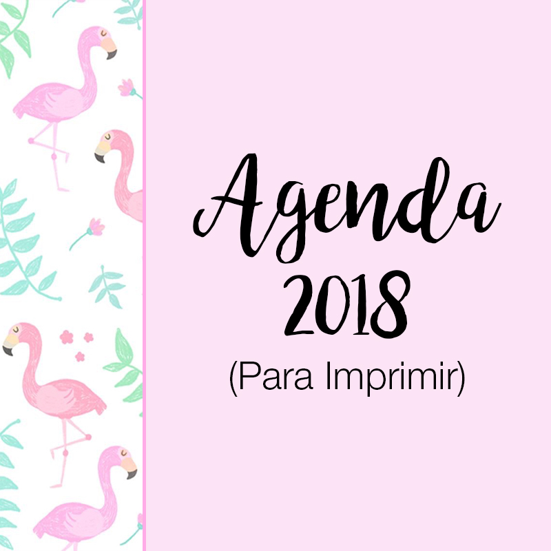 agenda, agenda 2018, agenda para imprimir, planner, planner para imprimir, planner 2018, dicas de organização, organização, organização pessoal