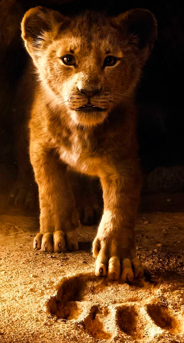Papéis de Parede para Celular Rei Leão, o rei leão, rei leão, papel de parede rei leão, papel de parede para celular, papel de parede para celular rei leão, rei leão wallpaper, lion king wallpaper, the lion king wallpaper, papel de parede simba, simba, timão e pumba, papel de parede hakuna matata, hakuna matata, unhas da lalá, lalá, larissa leite, blog unhas da lalá, papéis de parede rei leão